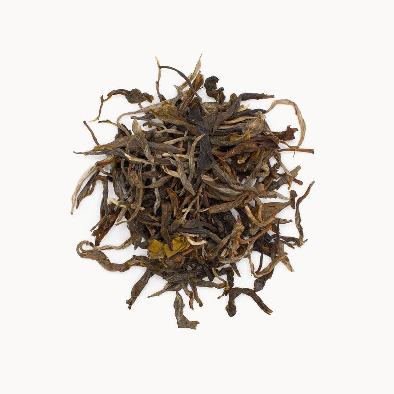 Sun-dried green tea leaves from Rishi Tea & Botanicals are artfully spread on a white background, capturing the essence of ancient tree gardens.