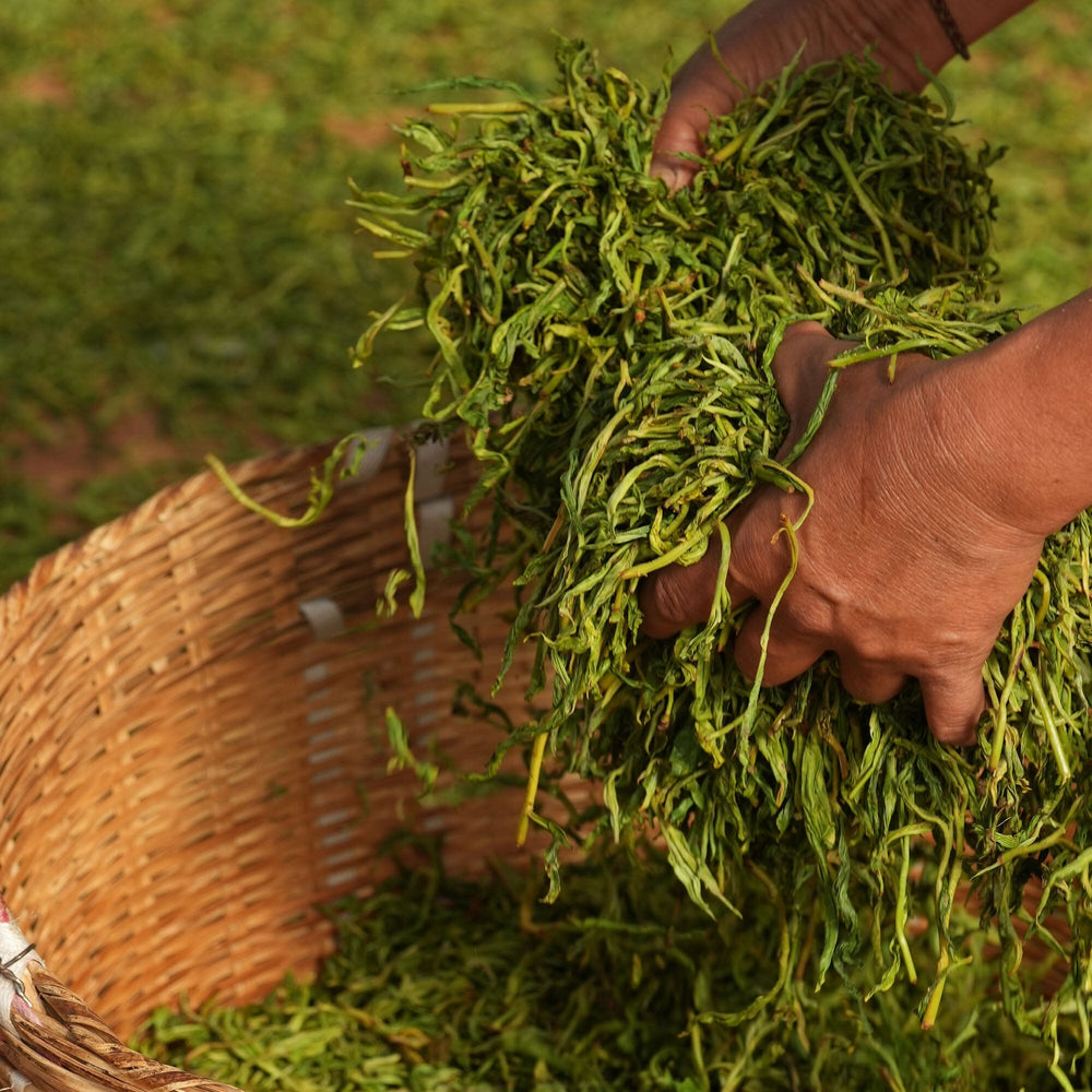 Gongnong Shaiqing Premium 2023 Vintage