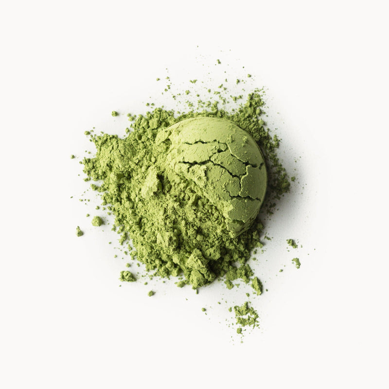 Barista Matcha from Rishi Tea & Botanicals on a white background.