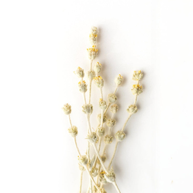 With beige and yellow flowers on a white backdrop, thin stems, and small clustered blossoms, Rishi Tea & Botanicals captures the essence of botanical tea reminiscent of Greece's largest island.