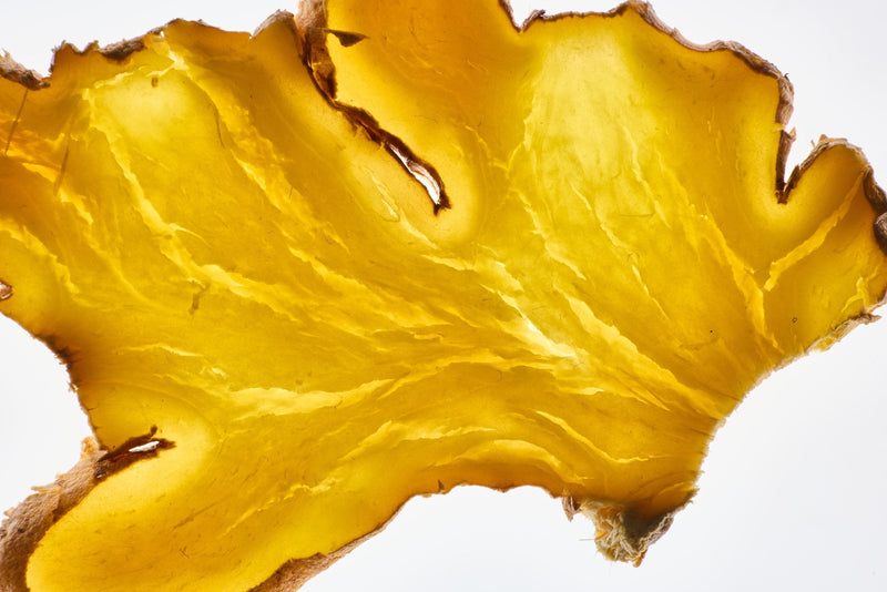 Through the Ages to Today: The Many Uses of Ginger