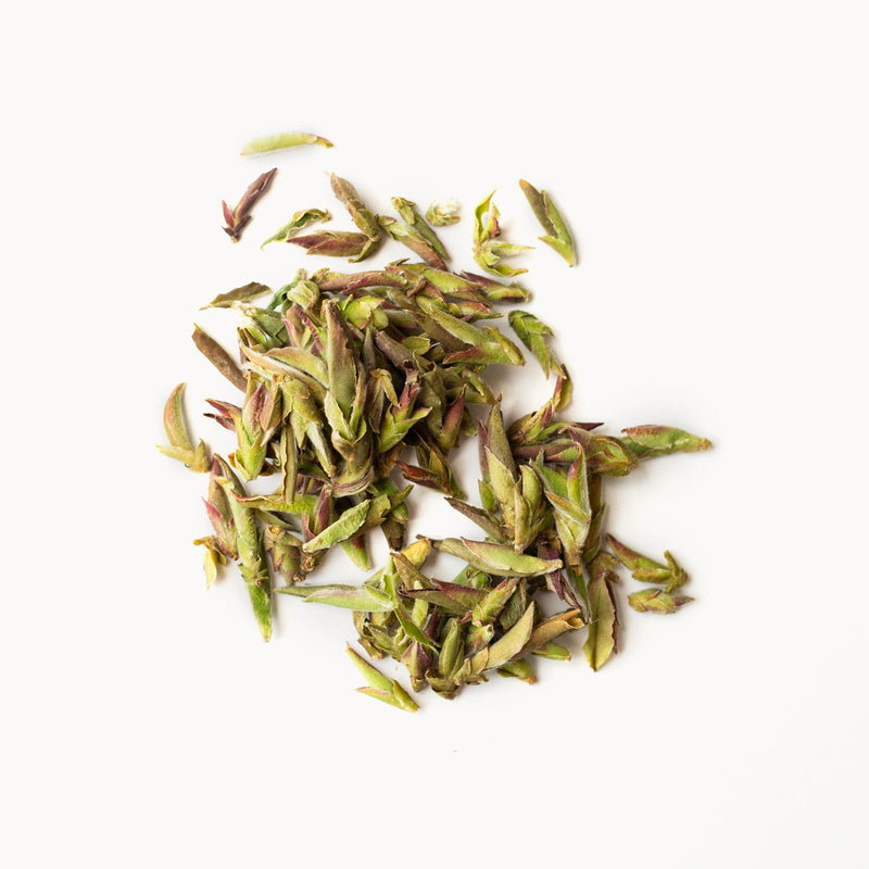 Wild Silver Needles LOOSE LEAF Rishi Tea & Botanicals
